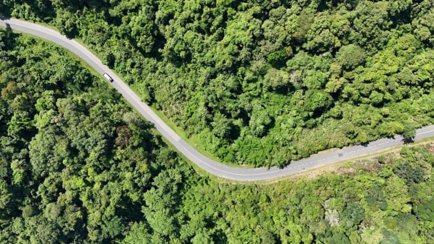 Biodiversity 'treasure' of Nui Ong